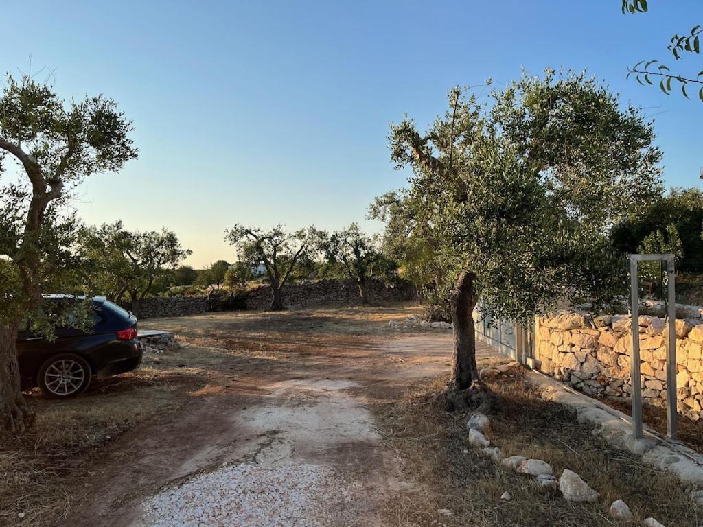 Casa Giuliveto - Charmantes Ferienhaus Mit Privatpool In Olivenhain أوستوني المظهر الخارجي الصورة