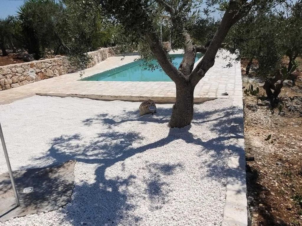 Casa Giuliveto - Charmantes Ferienhaus Mit Privatpool In Olivenhain أوستوني المظهر الخارجي الصورة