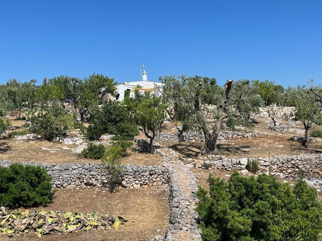 Casa Giuliveto - Charmantes Ferienhaus Mit Privatpool In Olivenhain أوستوني المظهر الخارجي الصورة