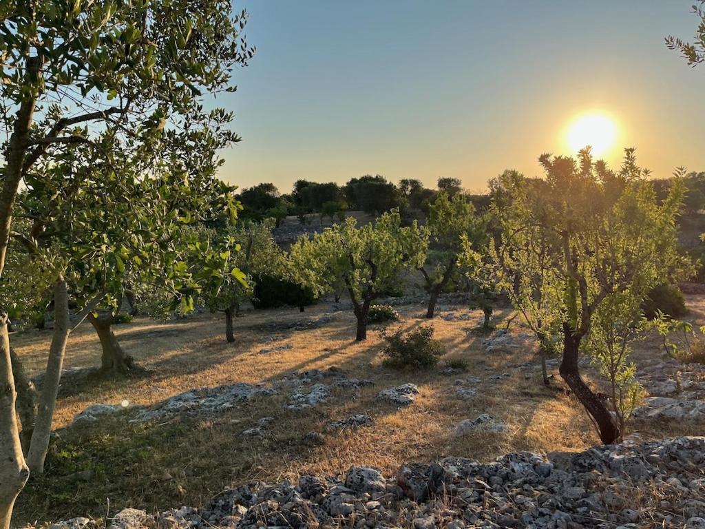 Casa Giuliveto - Charmantes Ferienhaus Mit Privatpool In Olivenhain أوستوني المظهر الخارجي الصورة
