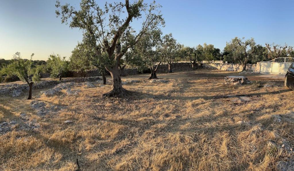 Casa Giuliveto - Charmantes Ferienhaus Mit Privatpool In Olivenhain أوستوني المظهر الخارجي الصورة