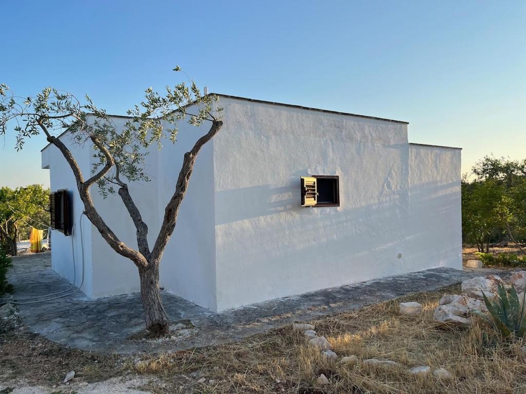 Casa Giuliveto - Charmantes Ferienhaus Mit Privatpool In Olivenhain أوستوني المظهر الخارجي الصورة