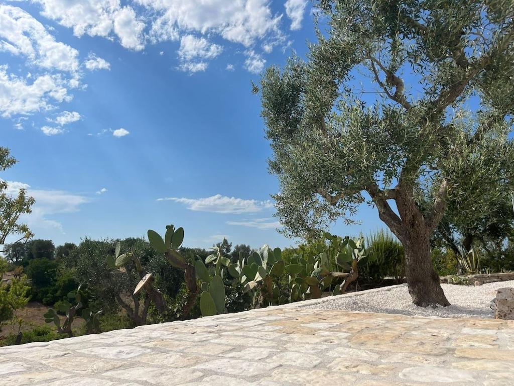 Casa Giuliveto - Charmantes Ferienhaus Mit Privatpool In Olivenhain أوستوني المظهر الخارجي الصورة
